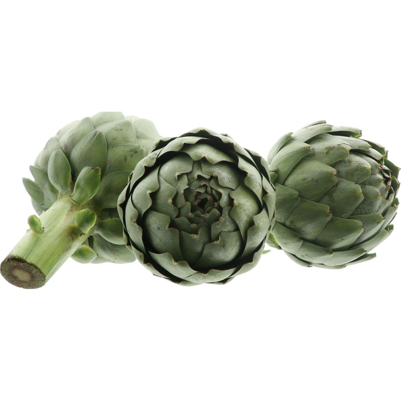 ARTICHAUT CAMUS 12PCS